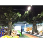 Giant Ficus Ficus Tree
