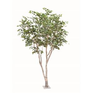 Jedwab srebro brzoza