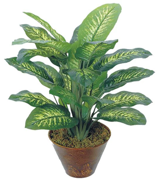 Artificial Dieffenbachia Giant Plant